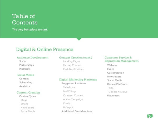 Kabbage: Digital & Online Presence - Page 3