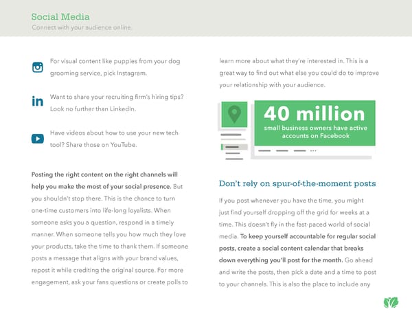 Kabbage: Digital & Online Presence - Page 12